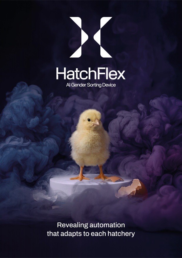 HatchFlex leaflet cover — AI Gender Sorting Device